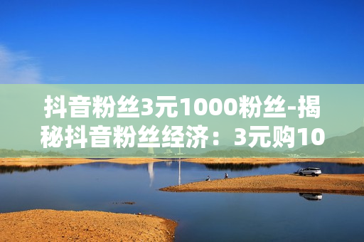 抖音粉丝3元1000粉丝-揭秘抖音粉丝经济：3元购1000粉丝背后的策略与影响