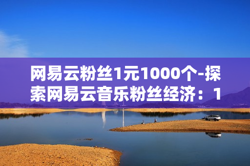 网易云粉丝1元1000个-探索网易云音乐粉丝经济：1元购1000粉丝策略分析与营销启示