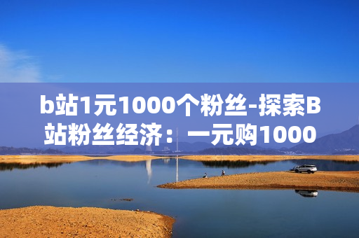 b站1元1000个粉丝-探索B站粉丝经济：一元购1000粉丝背后的机遇与策略