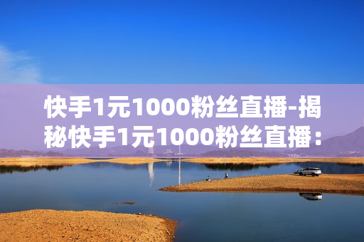 快手1元1000粉丝直播-揭秘快手1元1000粉丝直播：策略解析与实战指南