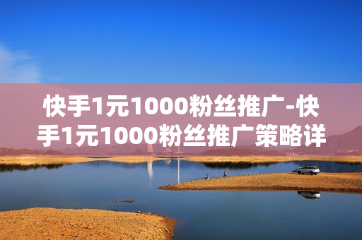 快手1元1000粉丝推广-快手1元1000粉丝推广策略详解与优化指南