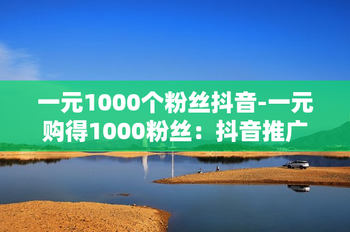 一元1000个粉丝抖音-一元购得1000粉丝：抖音推广策略揭秘与实战指南