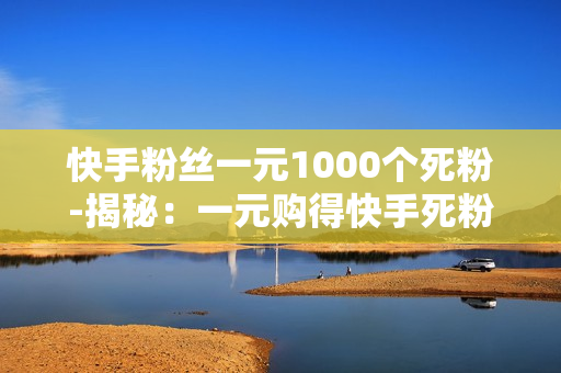 快手粉丝一元1000个死粉-揭秘：一元购得快手死粉真相，1000个粉丝背后的风险与策略