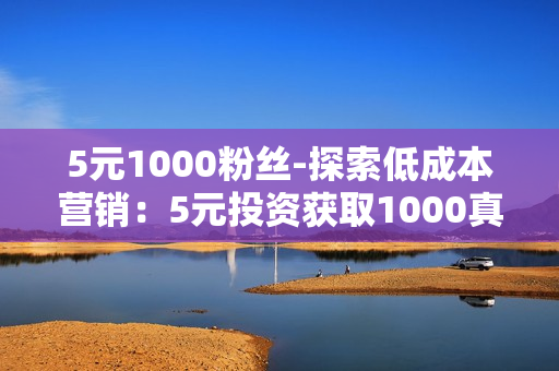 5元1000粉丝-探索低成本营销：5元投资获取1000真实粉丝的策略与实践