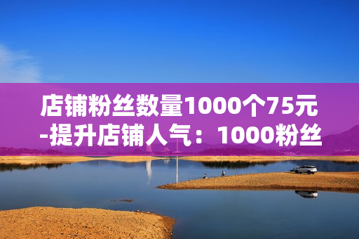 店铺粉丝数量1000个75元-提升店铺人气：1000粉丝目标下的75元营销策略揭秘