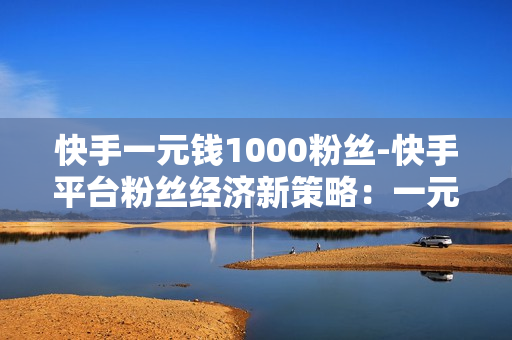 快手一元钱1000粉丝-快手平台粉丝经济新策略：一元购得1000粉丝深度解析