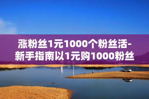 涨粉丝1元1000个粉丝活-新手指南以1元购1000粉丝：提升社交媒体影响力的秘密策略