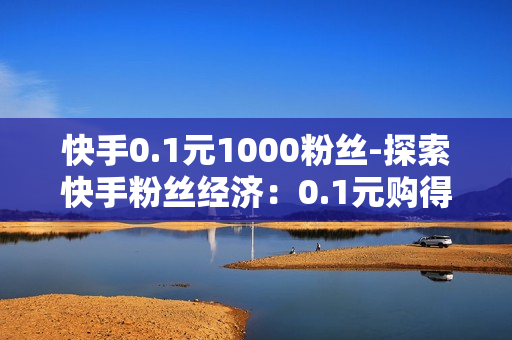 快手0.1元1000粉丝-探索快手粉丝经济：0.1元购得1000粉丝背后的策略与机遇