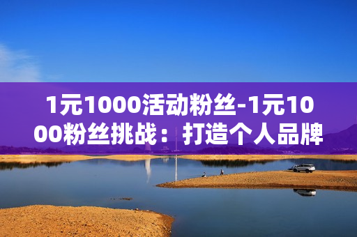 1元1000活动粉丝-1元1000粉丝挑战：打造个人品牌与流量增长策略揭秘