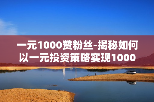 一元1000赞粉丝-揭秘如何以一元投资策略实现1000赞粉丝增长：策略与实战指南