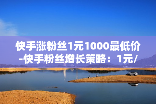 快手涨粉丝1元1000最低价-快手粉丝增长策略：1元/1000粉丝的高效提升方法揭秘