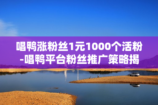 唱鸭涨粉丝1元1000个活粉-唱鸭平台粉丝推广策略揭秘：1元购1000活粉背后的运营策略与价值分析