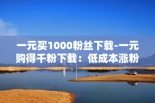 一元买1000粉丝下载-一元购得千粉下载：低成本涨粉策略与SEO优化实践