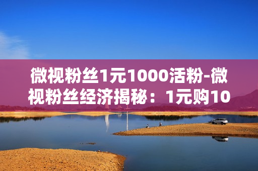 微视粉丝1元1000活粉-微视粉丝经济揭秘：1元购1000活粉策略优化与实践指南