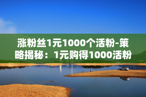 涨粉丝1元1000个活粉-策略揭秘：1元购得1000活粉的秘密：提升社交媒体影响力的艺术