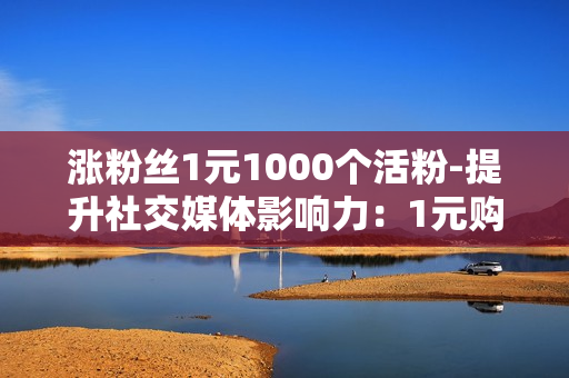 涨粉丝1元1000个活粉-提升社交媒体影响力：1元购1000活粉策略揭秘与实施指南