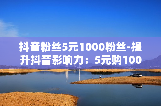 抖音粉丝5元1000粉丝-提升抖音影响力：5元购1000粉丝策略解析与SEO优化指南