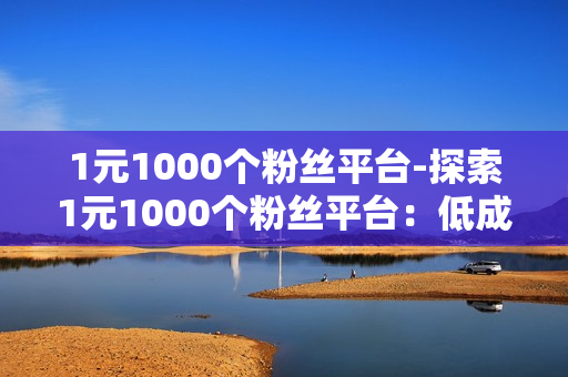 1元1000个粉丝平台-探索1元1000个粉丝平台：低成本涨粉策略与实战分析