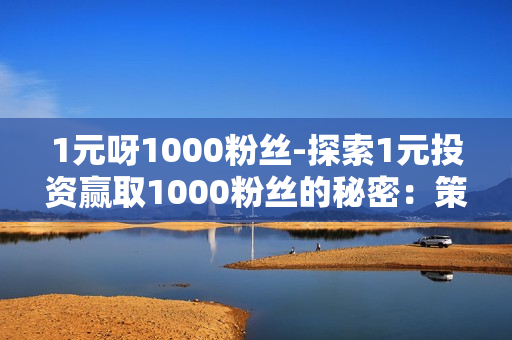 1元呀1000粉丝-探索1元投资赢取1000粉丝的秘密：策略与实战指南