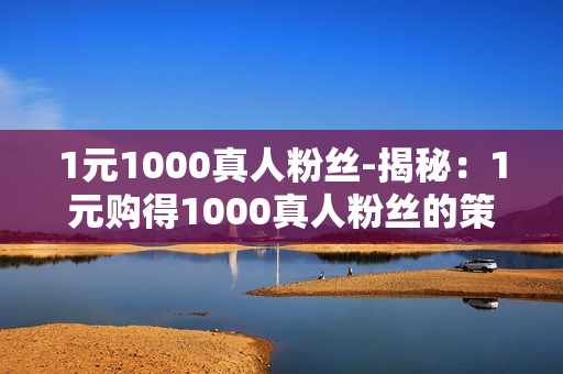 1元1000真人粉丝-揭秘：1元购得1000真人粉丝的策略与价值分析