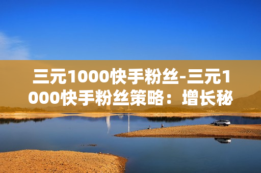 三元1000快手粉丝-三元1000快手粉丝策略：增长秘籍与优化指南