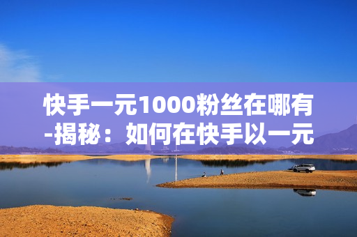 快手一元1000粉丝在哪有-揭秘：如何在快手以一元价格获取1000粉丝的策略与平台解析