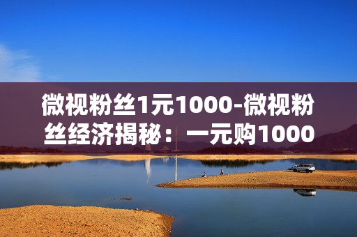 微视粉丝1元1000-微视粉丝经济揭秘：一元购1000粉丝背后的策略与价值分析