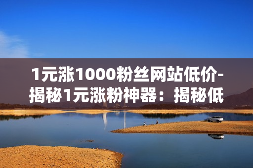 1元涨1000粉丝网站低价-揭秘1元涨粉神器：揭秘低成本高效粉丝增长策略