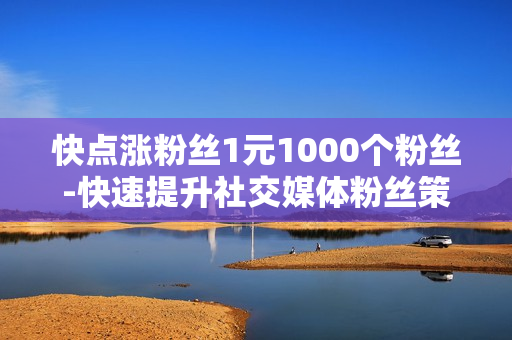 快点涨粉丝1元1000个粉丝-快速提升社交媒体粉丝策略：1元购1000粉丝背后的优化秘籍