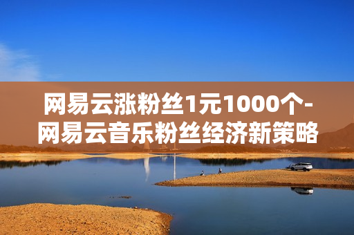 网易云涨粉丝1元1000个-网易云音乐粉丝经济新策略：1元购1000粉丝，平台盈利与用户增长双赢之道