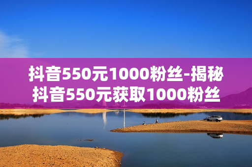 抖音550元1000粉丝-揭秘抖音550元获取1000粉丝策略：成本、效果与优化路径