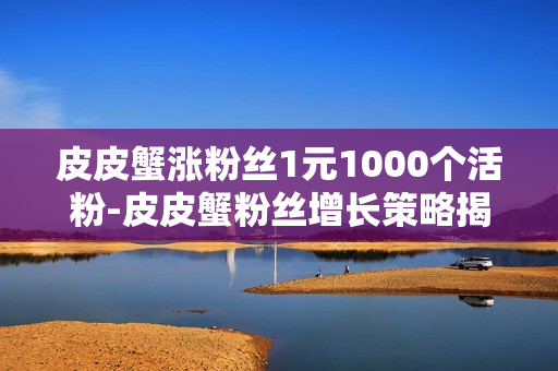 皮皮蟹涨粉丝1元1000个活粉-皮皮蟹粉丝增长策略揭秘：一元投资千粉活动实战解析