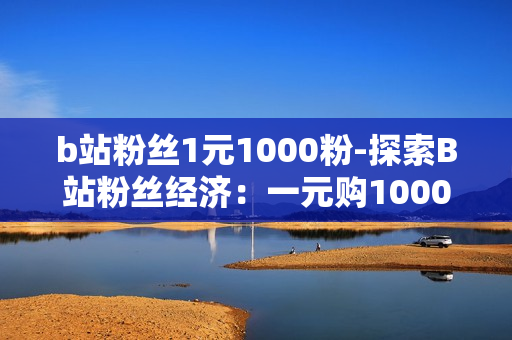 b站粉丝1元1000粉-探索B站粉丝经济：一元购1000粉的背后策略与影响