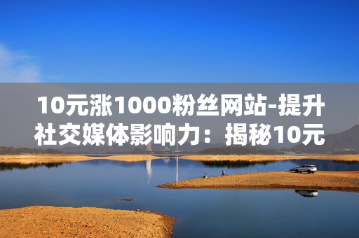 10元涨1000粉丝网站-提升社交媒体影响力：揭秘10元涨粉1000策略的SEO优化秘籍