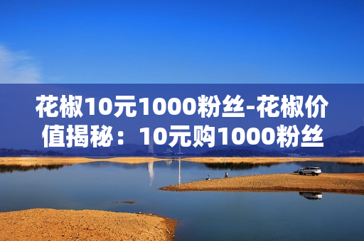 花椒10元1000粉丝-花椒价值揭秘：10元购1000粉丝背后的营销策略与机遇