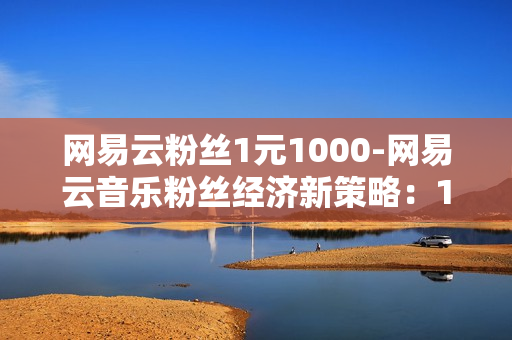 网易云粉丝1元1000-网易云音乐粉丝经济新策略：1元购1000粉丝深度解析