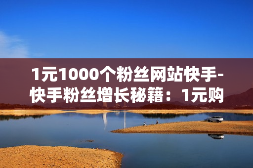 1元1000个粉丝网站快手-快手粉丝增长秘籍：1元购1000粉丝策略深度解析