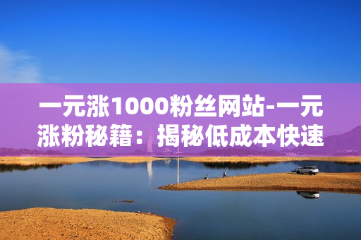 一元涨1000粉丝网站-一元涨粉秘籍：揭秘低成本快速获取1000粉丝的策略