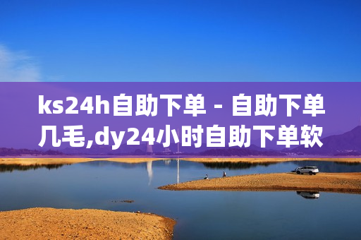 ks24h自助下单 - 自助下单几毛,dy24小时自助下单软件 - 24h在线下单