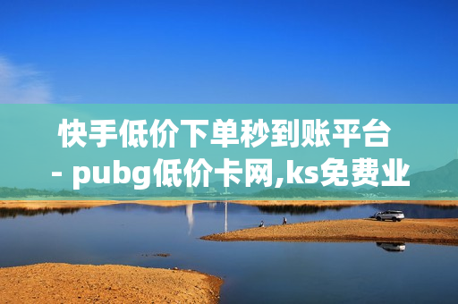 快手低价下单秒到账平台 - pubg低价卡网,ks免费业务平台便宜 - 卡盟下单