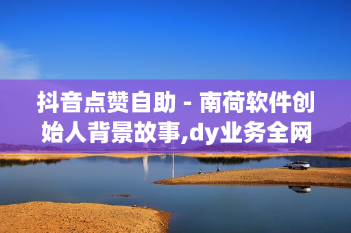 抖音点赞自助 - 南荷软件创始人背景故事,dy业务全网最低价 - 抖音免费流量获取方法