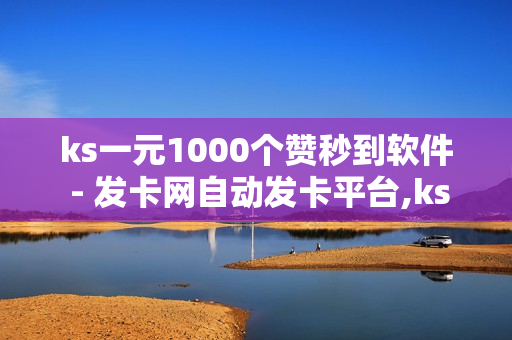 ks一元1000个赞秒到软件 - 发卡网自动发卡平台,ks自助下单网站 - 91卡盟在线自助下单