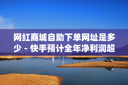 网红商城自助下单网址是多少 - 快手预计全年净利润超100亿,pubg卡网24小时自助下单 - 低价刷qq访客量