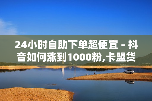 24小时自助下单超便宜 - 抖音如何涨到1000粉,卡盟货源站全网最低价 - 卡盟在线自助下单