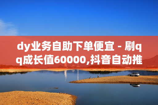 dy业务自助下单便宜 - 刷qq成长值60000,抖音自动推广引流app - 云小店