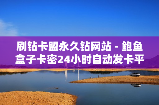 刷钻卡盟永久钻网站 - 鲍鱼盒子卡密24小时自动发卡平台,快手业务网站平台24小时 - 抖音业务下单24小时评论