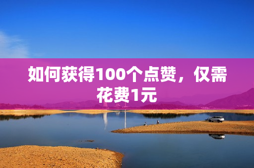 如何获得100个点赞，仅需花费1元