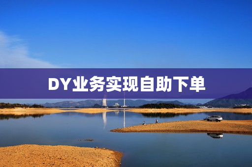 DY业务实现自助下单