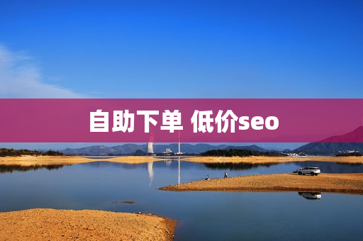 自助下单 低价seo