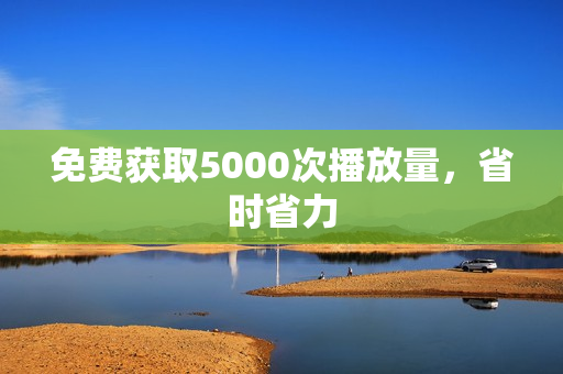 免费获取5000次播放量，省时省力